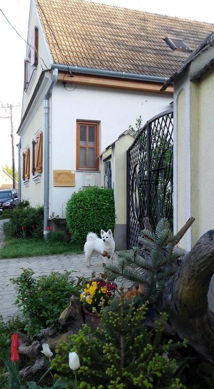 Rudolf'S Fogado Hotel Zsira Buitenkant foto
